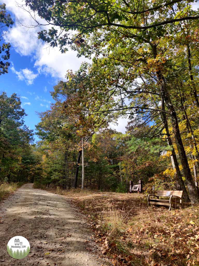 Cell Tower Road Trail at the Andres Institute of Art