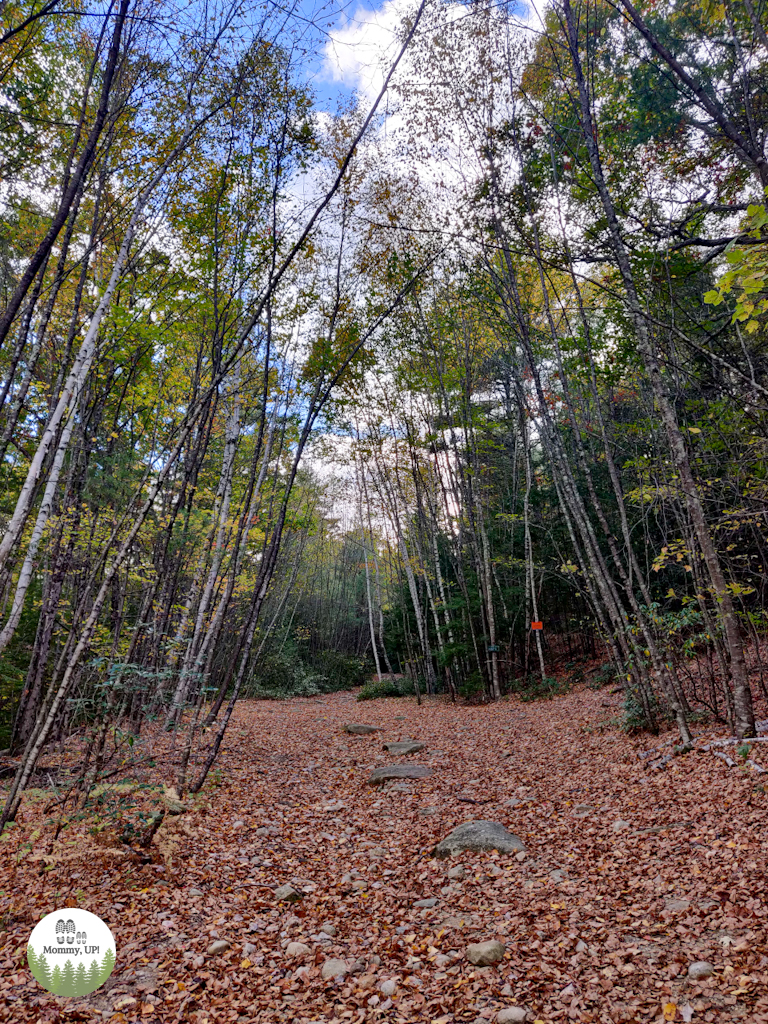 Andres Institute of Art, the picnic trail